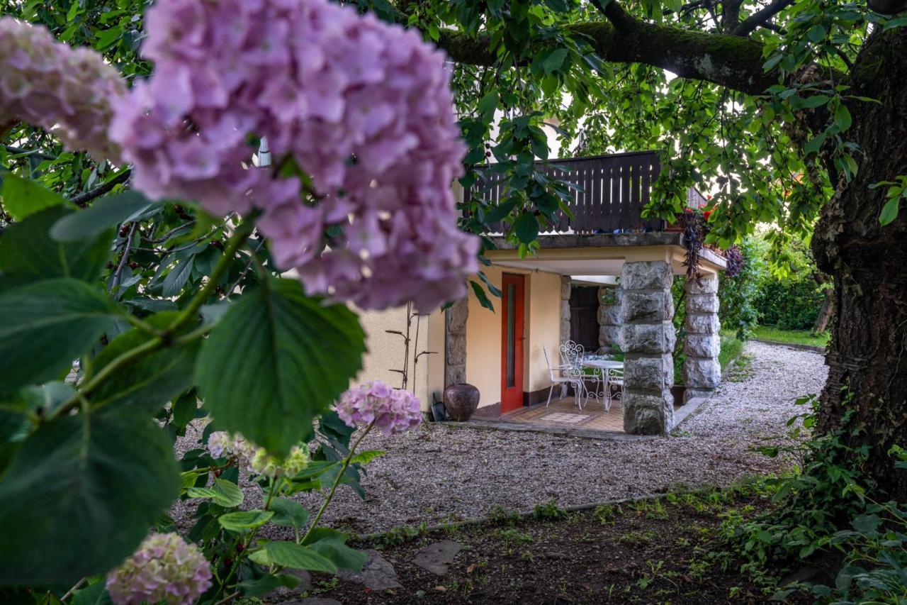 Villa Anna Bled Buitenkant foto